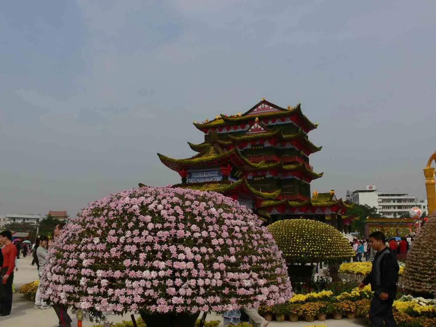 P1060040.webp