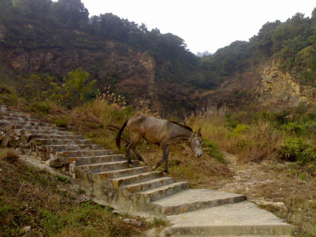 风云岭071213.jpg