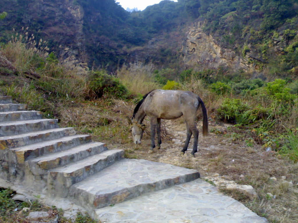 风云岭1213.jpg