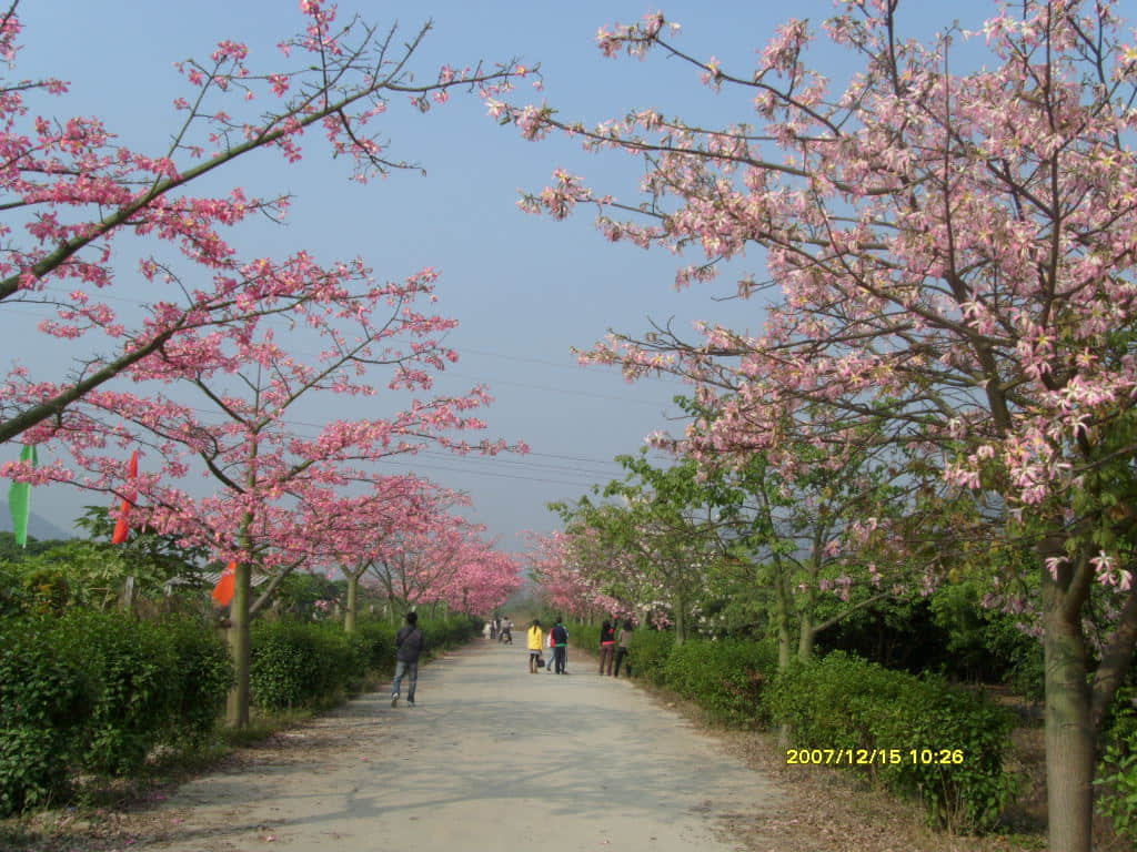 照片 080.jpg