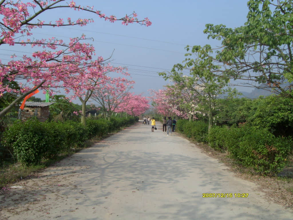 照片 083.jpg