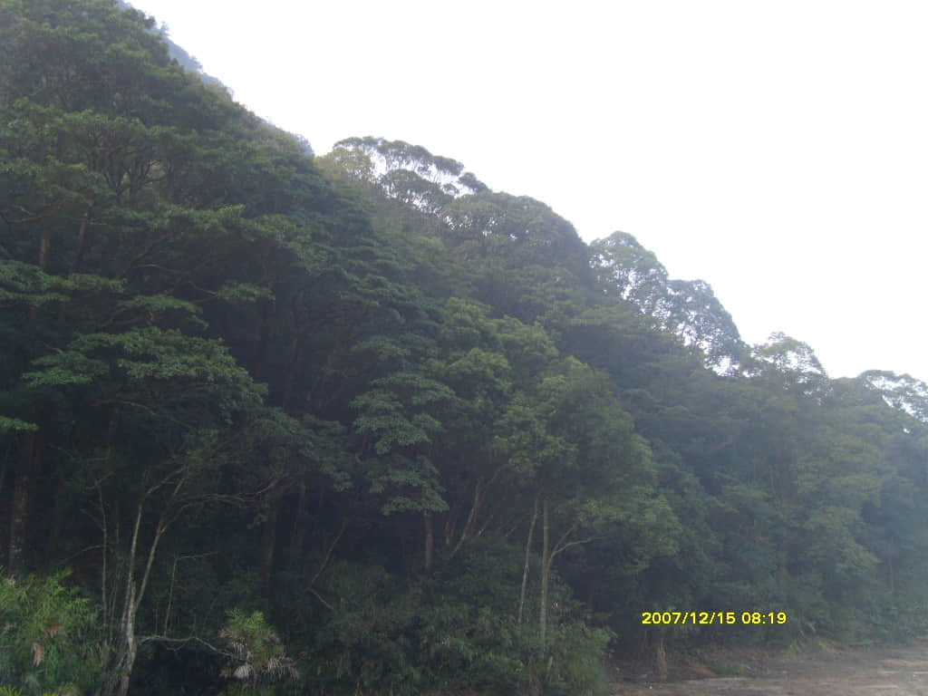 照片 050.jpg