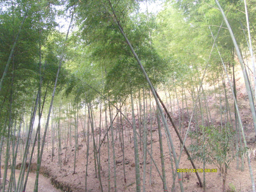 照片 062.jpg