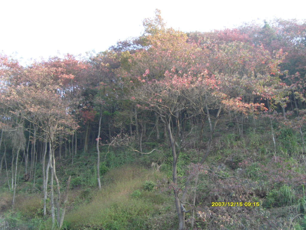 照片 076.jpg