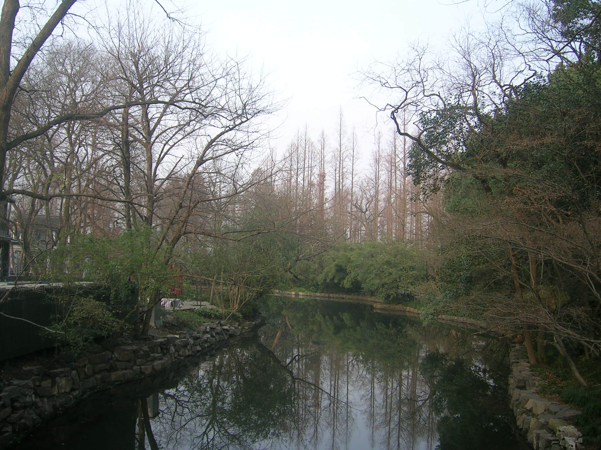 DSCN5126.JPG