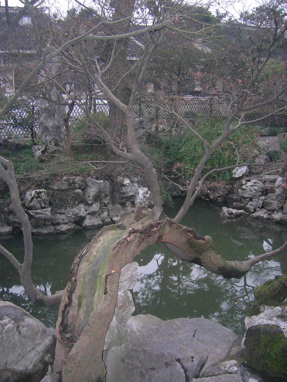 DSCN5228.jpg
