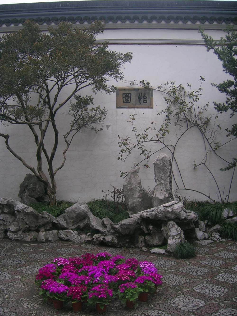 DSCN5223.jpg