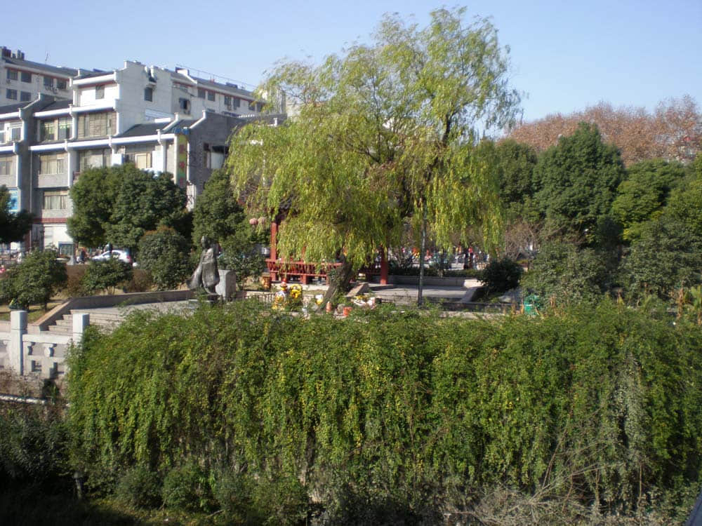 PC300331.jpg