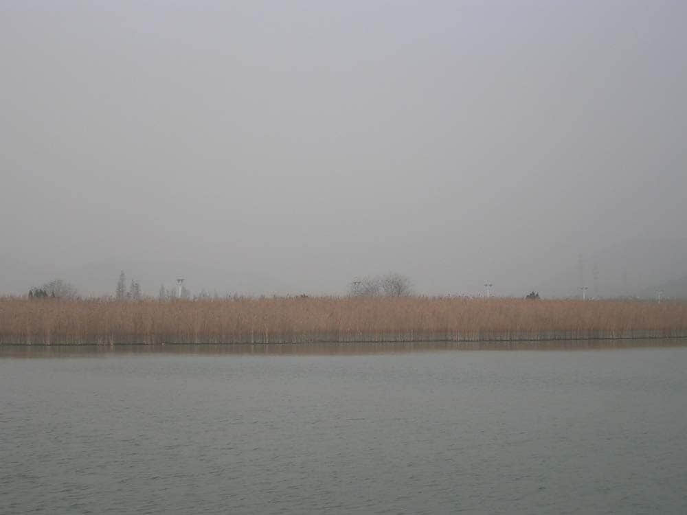 DSCN5235.jpg