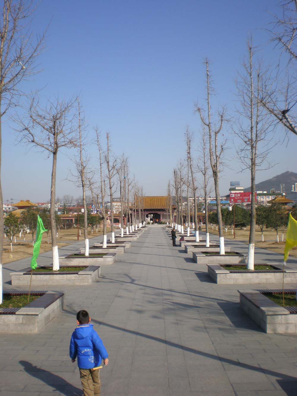 PC300289.jpg