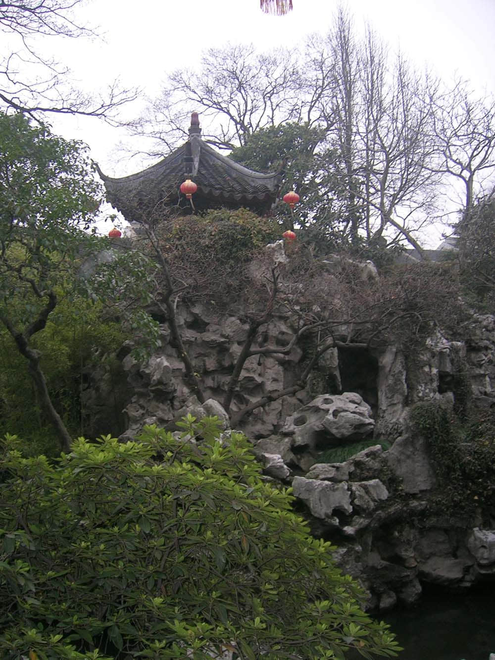 DSCN5230.jpg