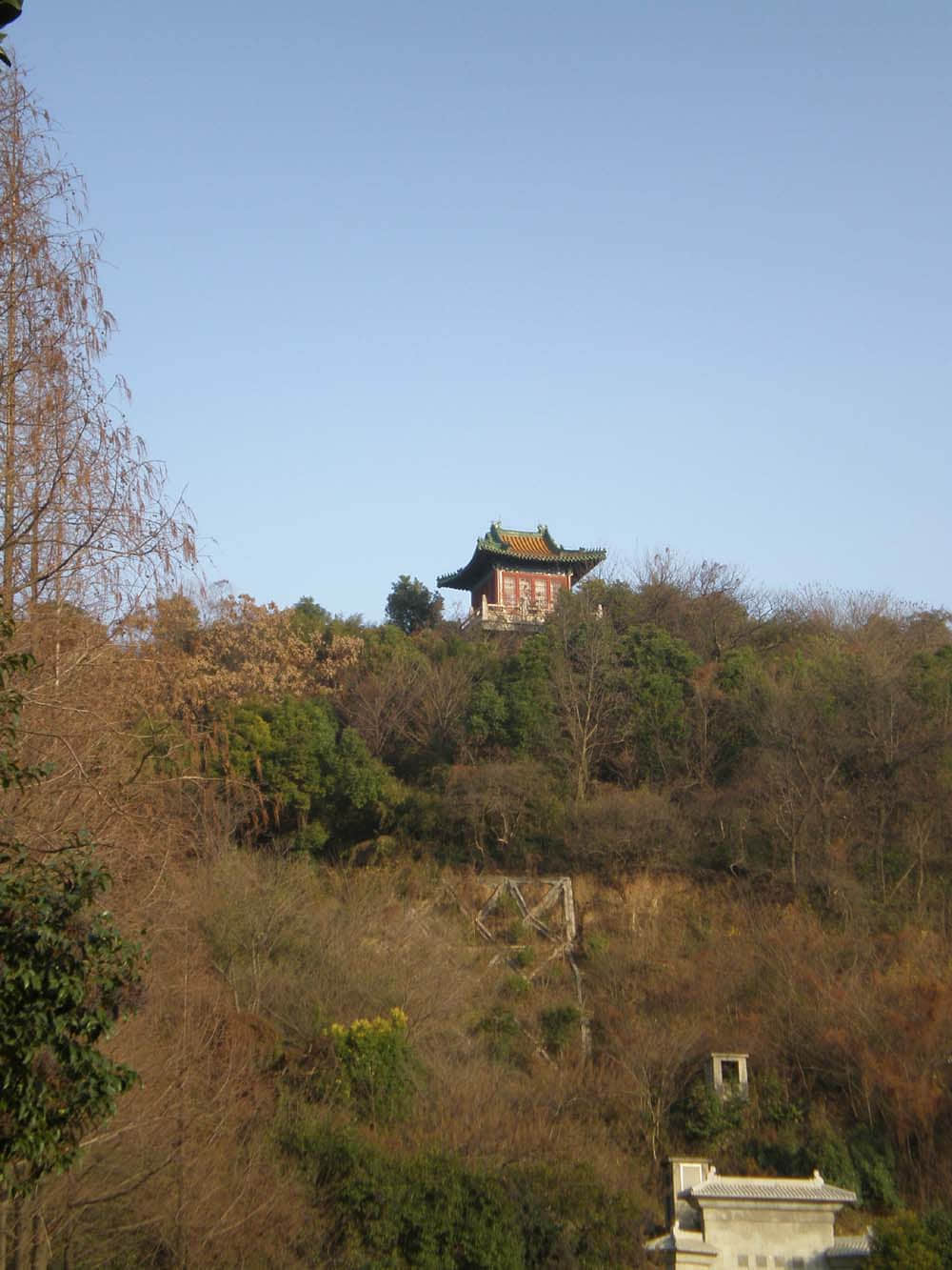 PC300243.jpg