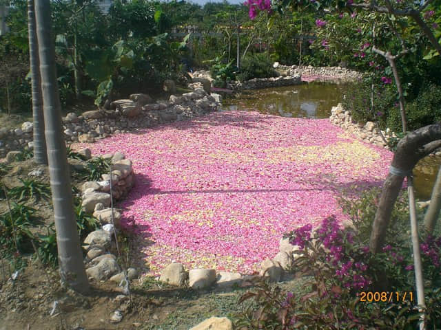 CIMG4907.JPG