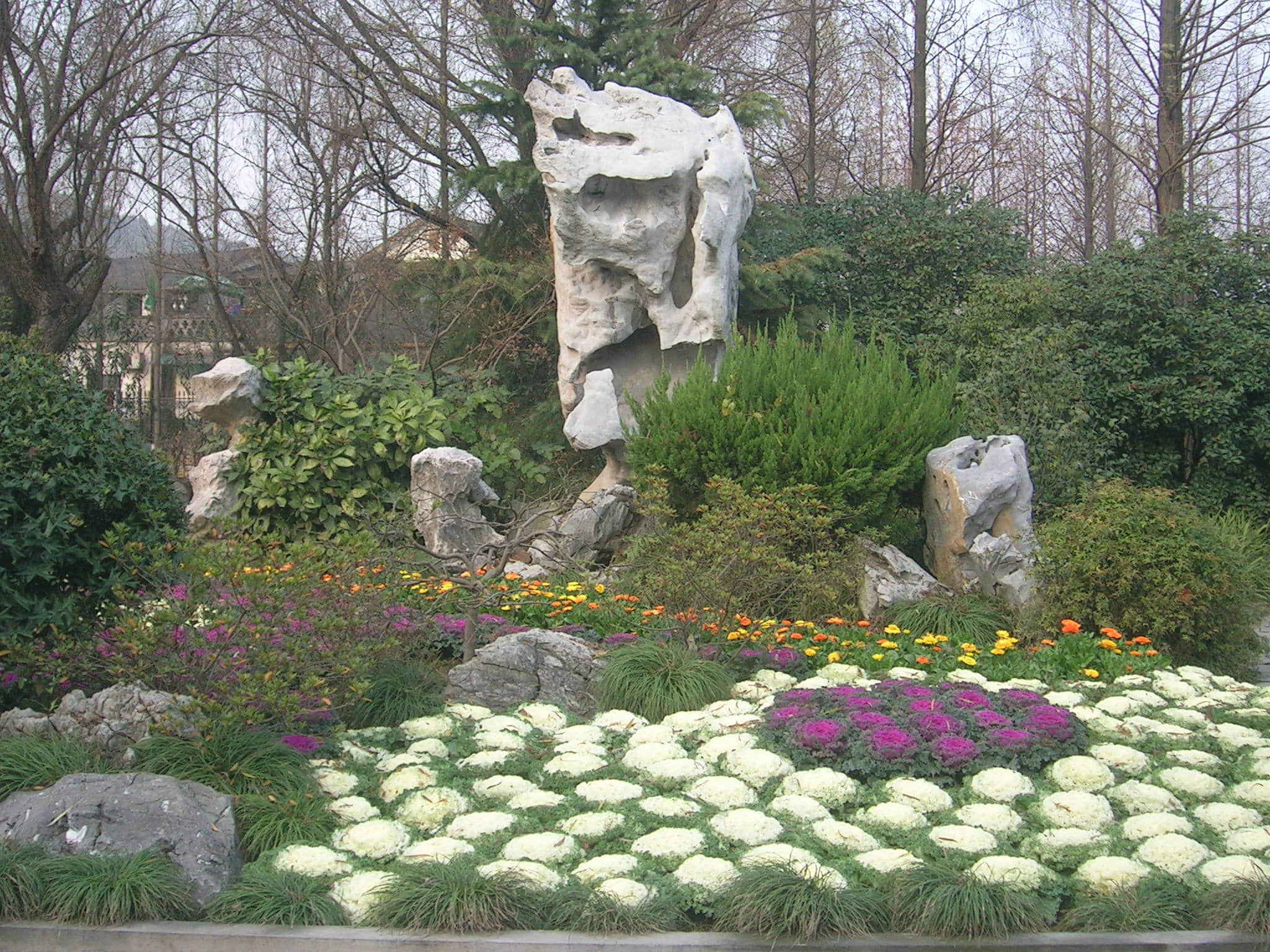 DSCN5132.JPG