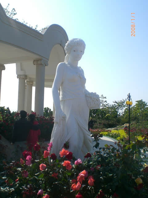 CIMG4900.JPG