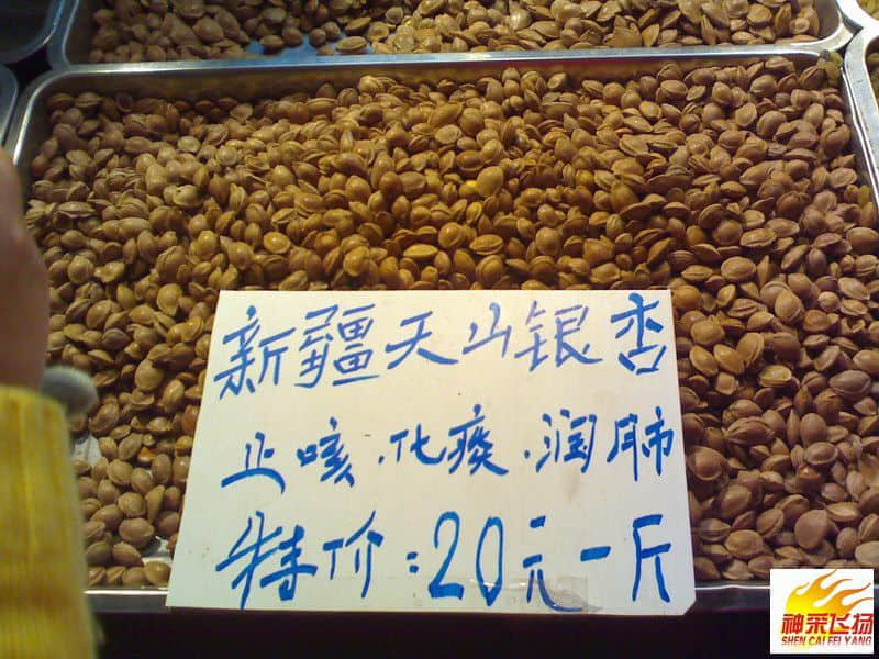 20080203031.jpg