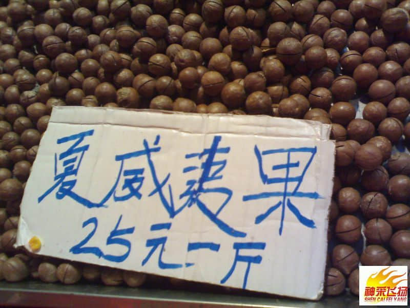 20080203032.jpg