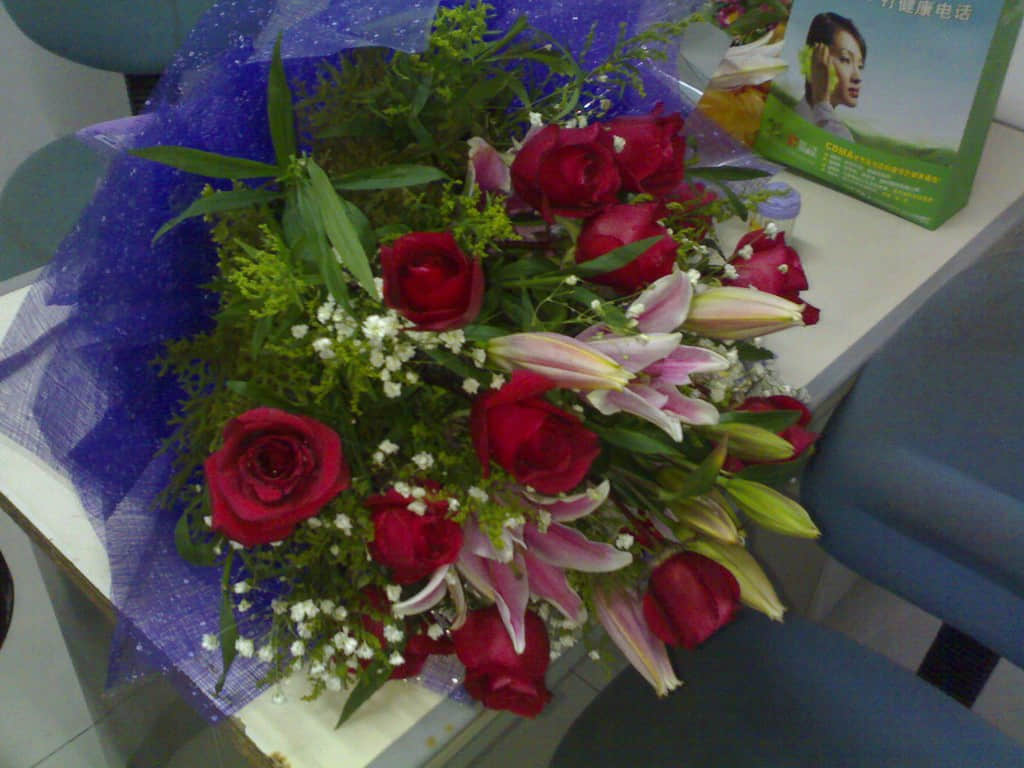 20080221126.jpg