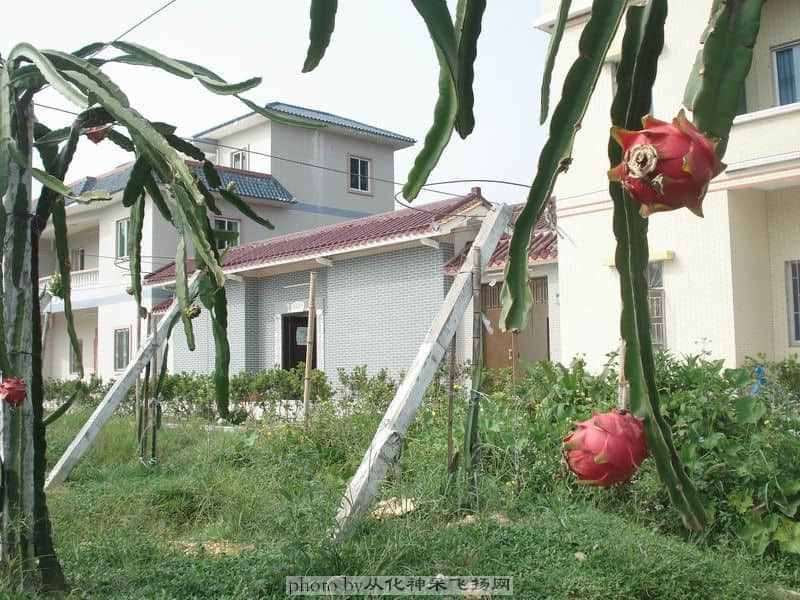 活动场地4.JPG