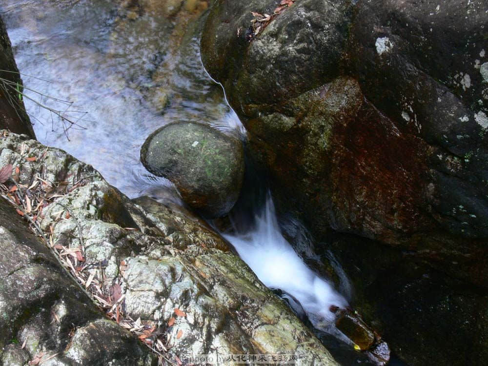 P1070633.jpg