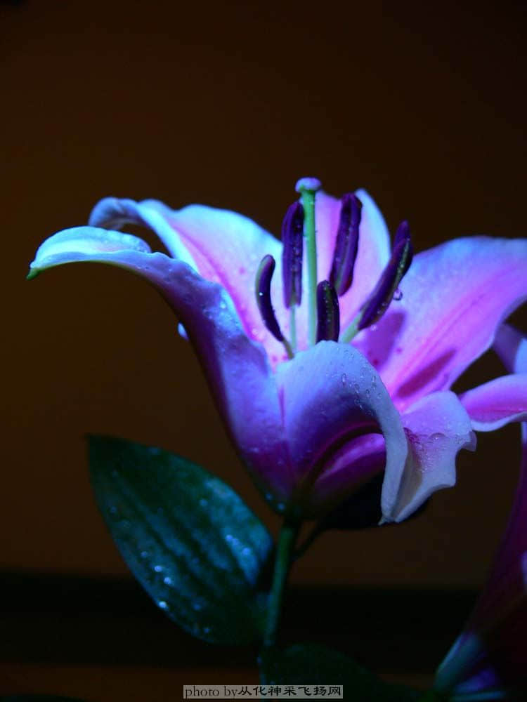 200804283.jpg