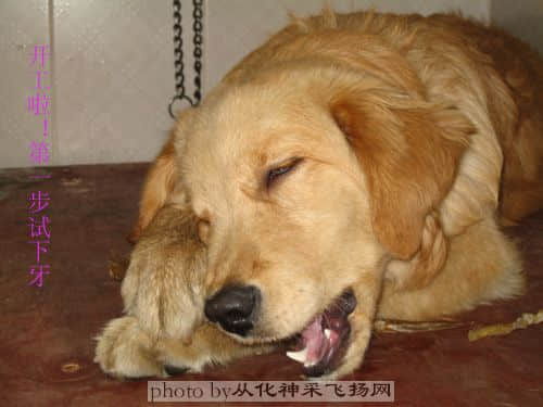 照片 008 拷贝.jpg