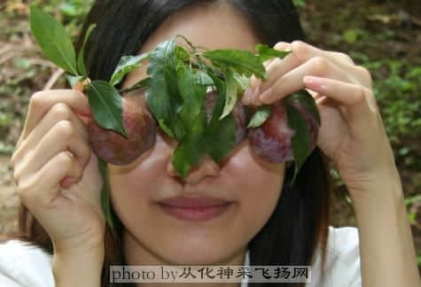 未命名.jpg