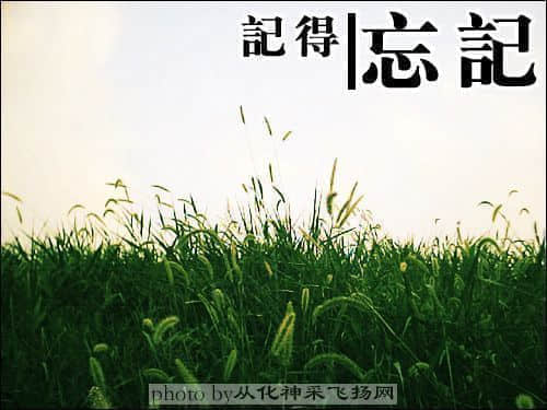 6 无可奈何的遗忘     很多我们以为一辈子都不会忘记的事情，就在我们念念不忘的日子里，被我们遗忘了。
