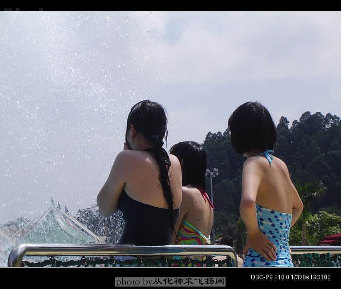 DSC03545.jpg