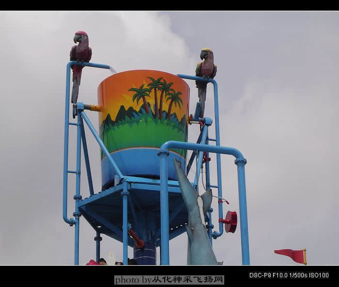 DSC03486.jpg