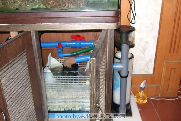 蛋白去除器