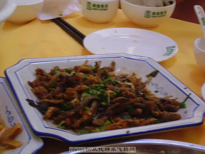 DSC03632.webp