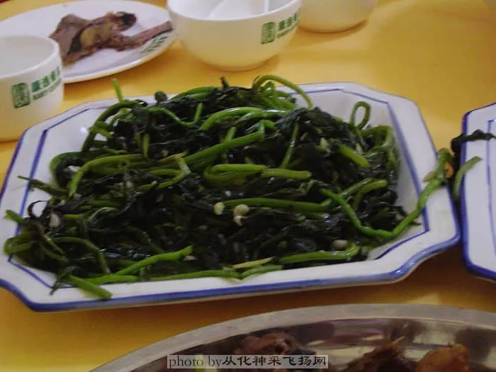 DSC03633.webp