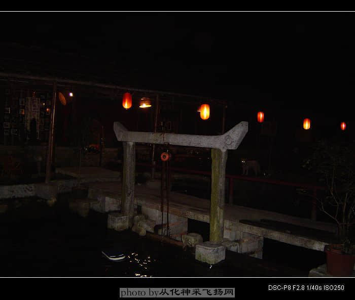 DSC03783.jpg