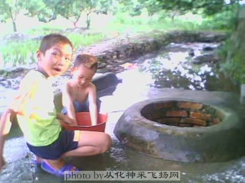 这就是“龙井”