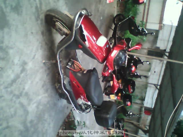 P7301.JPG