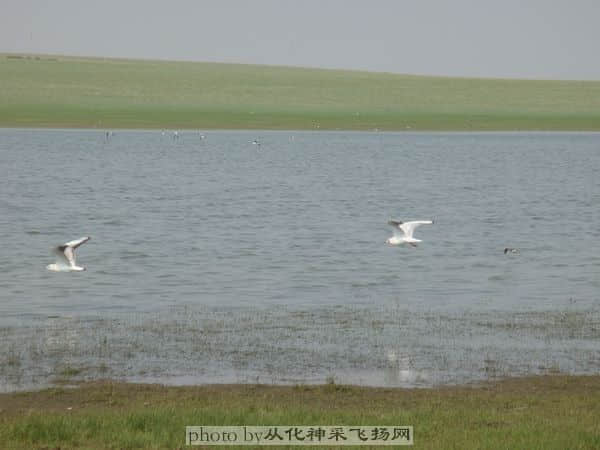 DSC00865.JPG