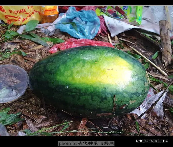 20080824094.webp