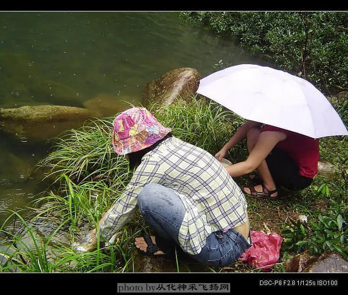 DSC04114.webp