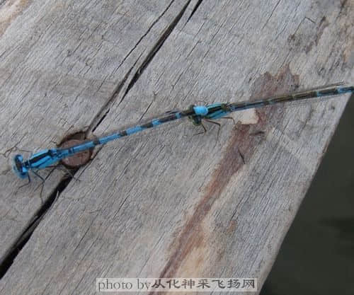 DSC01123.JPG