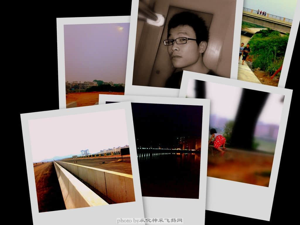 collage4.jpg