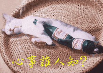 65232335.gif