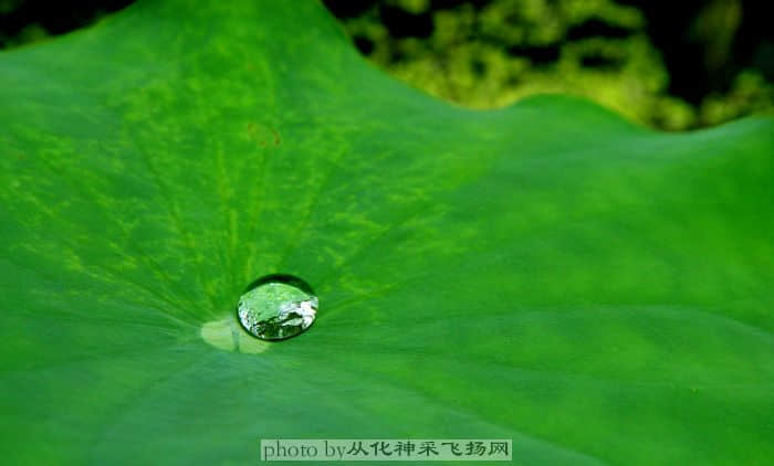 这蒸发，不管你在哪里