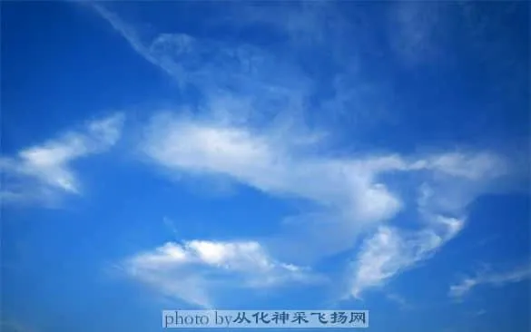 蓝天很蓝，有云，有天，有情，有义