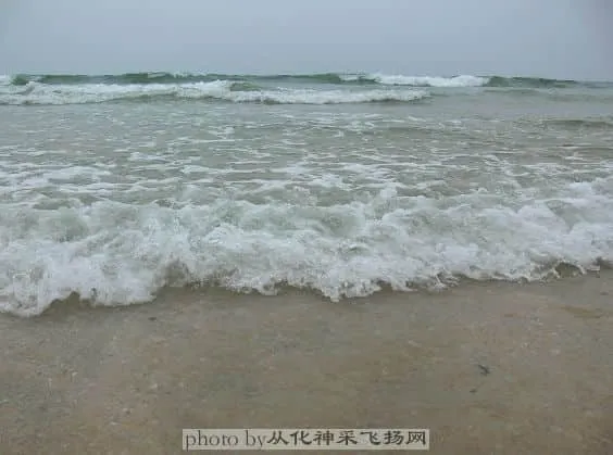 海