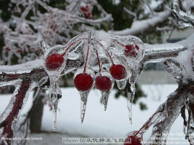 20081017_175f246a4059cbaa762aBieAAkdoGvlB.jpg