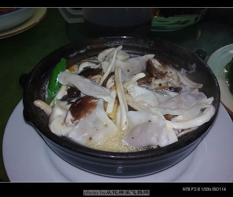 20081109245.jpg