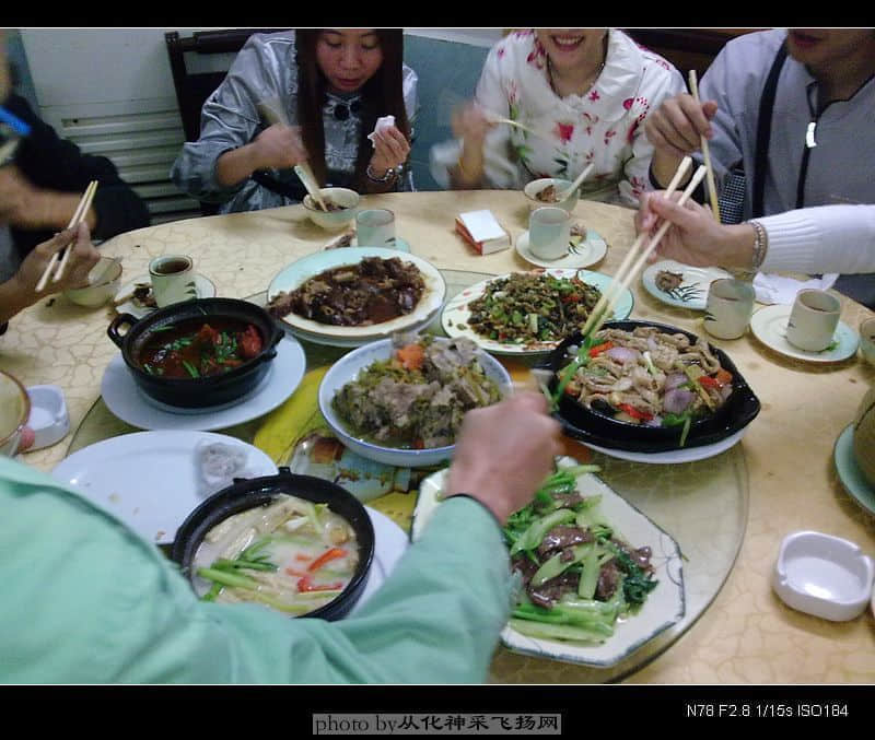20081109255.jpg