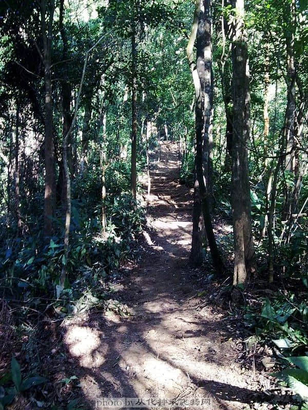 20081115061.jpg