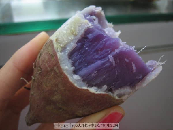 照片 005.jpg